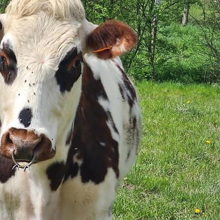 Roulotte A La Ferme Buissonniere Villa La Lande-de-Louge ภายนอก รูปภาพ