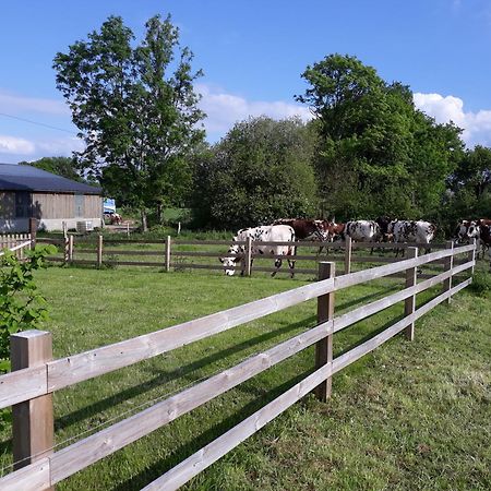 Roulotte A La Ferme Buissonniere Villa La Lande-de-Louge ภายนอก รูปภาพ