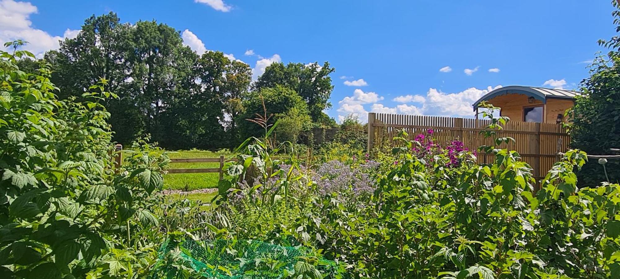 Roulotte A La Ferme Buissonniere Villa La Lande-de-Louge ภายนอก รูปภาพ