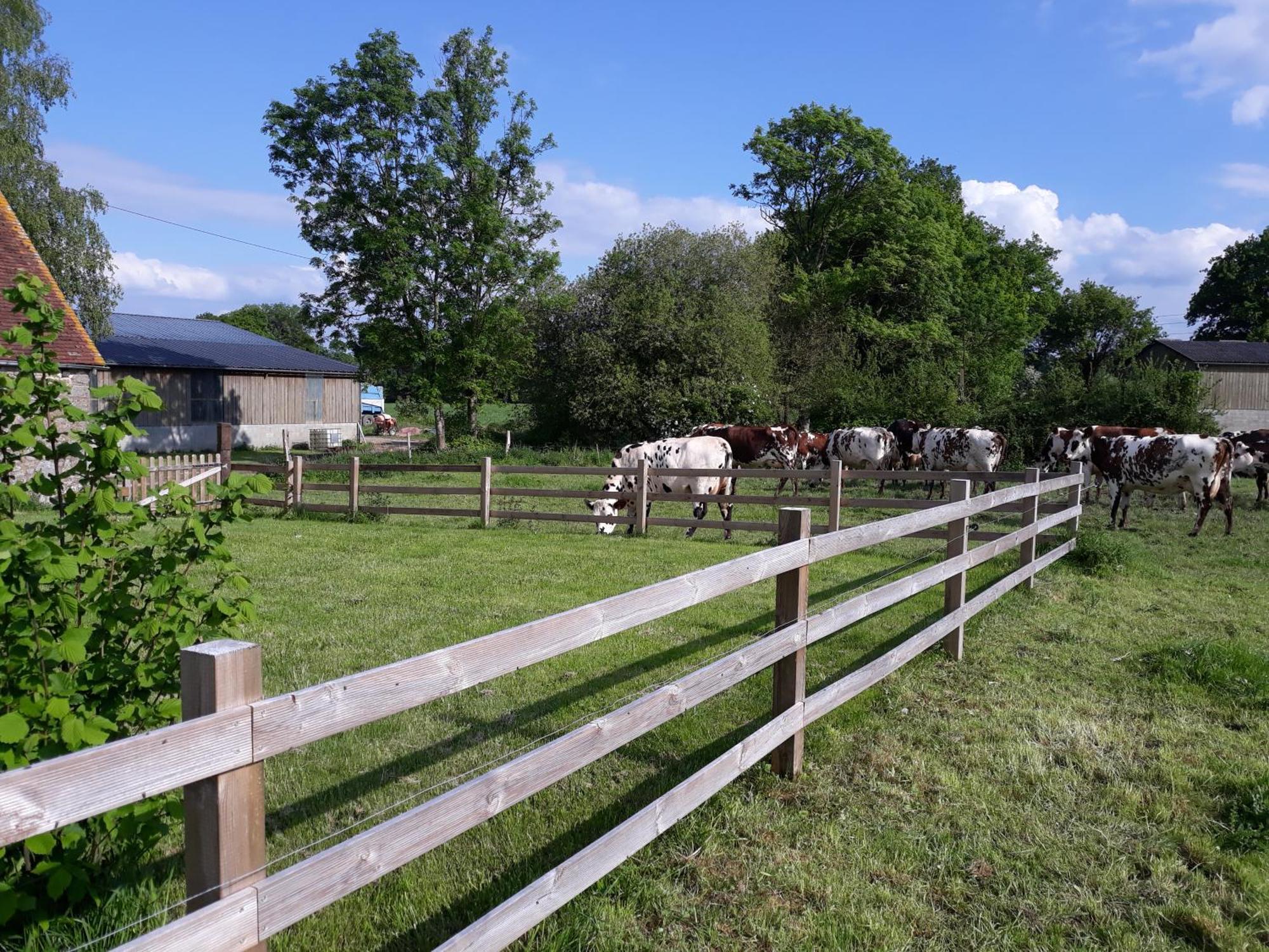Roulotte A La Ferme Buissonniere Villa La Lande-de-Louge ภายนอก รูปภาพ